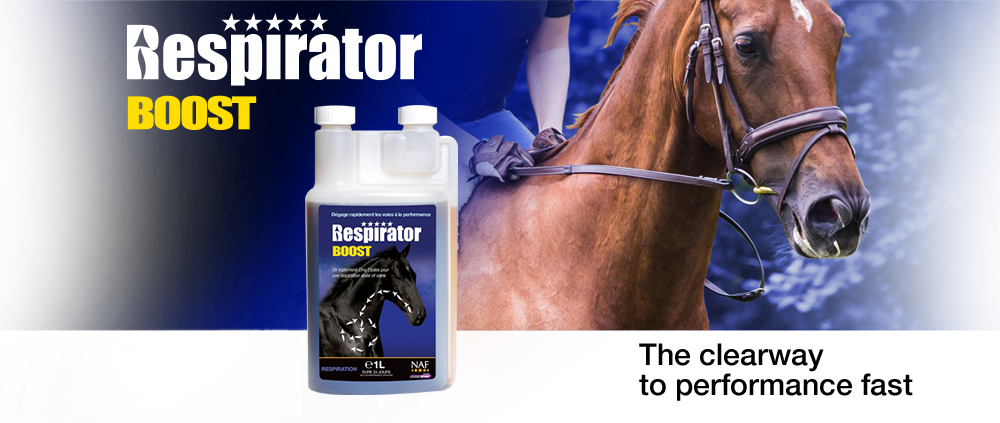 NAF Respirator Boost - SHOPHORSE